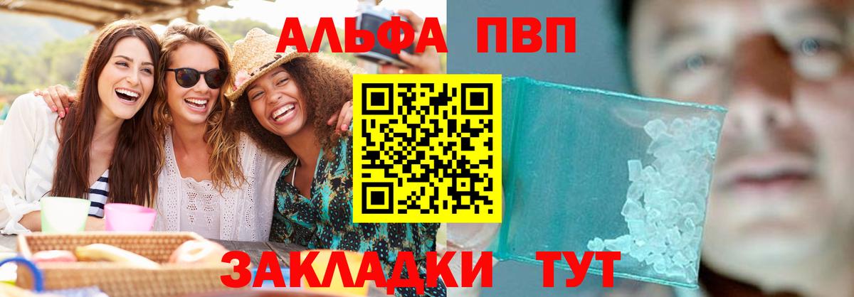 Alfa_PVP СК КРИС Урус-Мартан