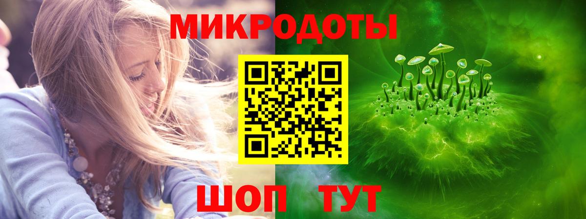 Псилоцибиновые грибы Psilocybe  продажа наркотиков  Урус-Мартан  Вход с VPN 